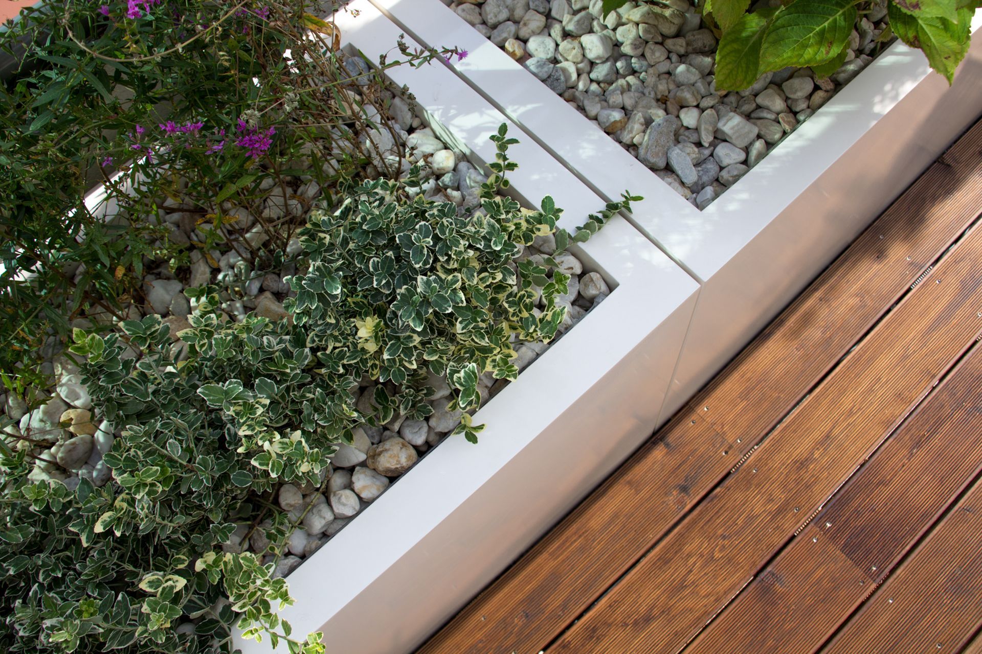 projektowanie ogrodów Warszawa